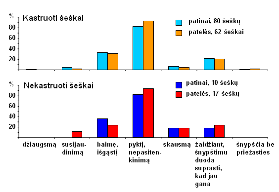 seskai-snekasi-11