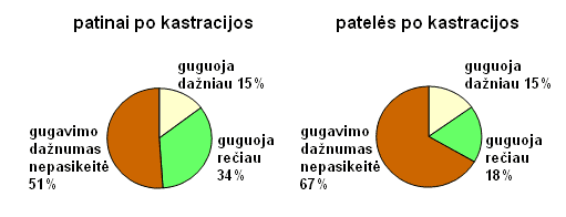 seskai-snekasi-3