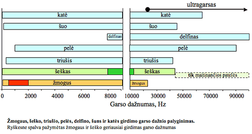 apie-sesku-klausa-1