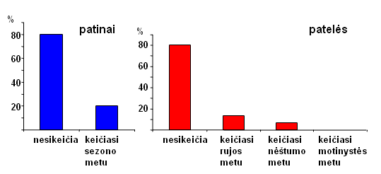 seskai-snekasi-14